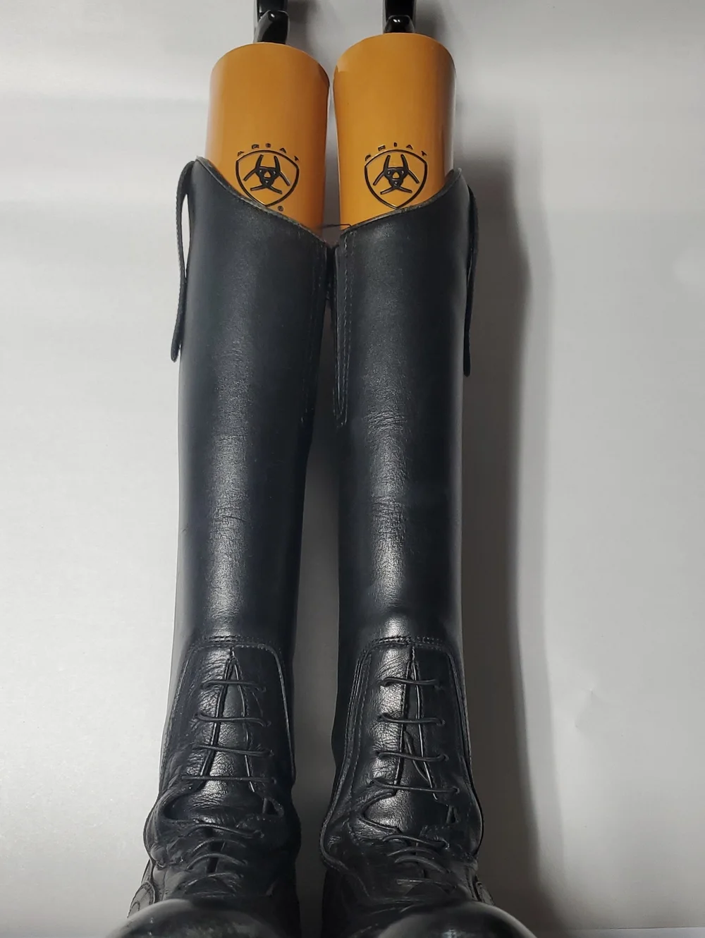 Ovation Flex Sport Field Boots Black Size 4 Youth Regular Tall Riding Boots